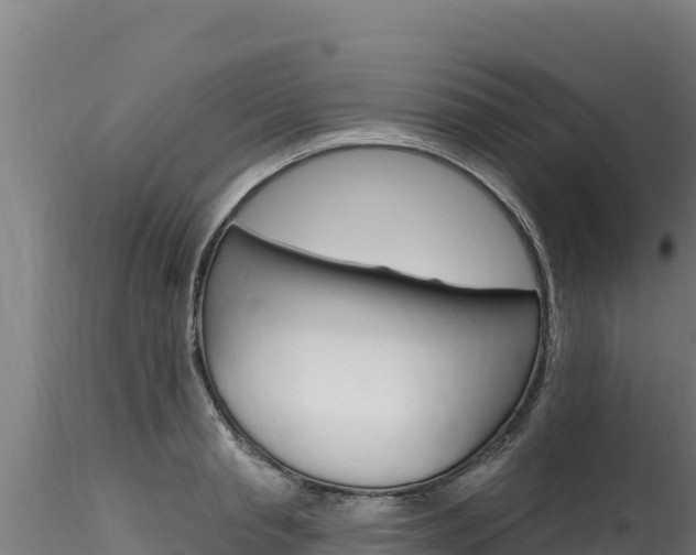 X0000116280845200911301039