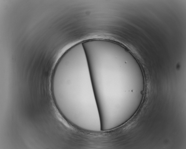 X0000116280846200911301039