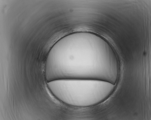 X0000116280849200911301039