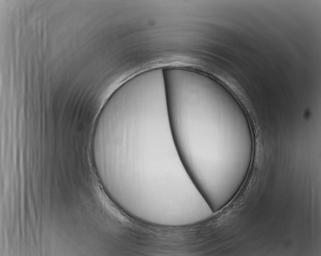 X0000116280850200911301039