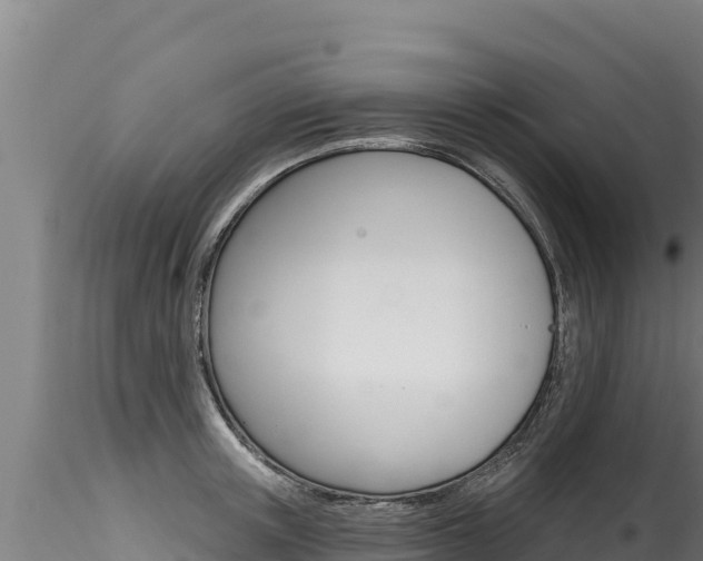 X0000116280851200911301039
