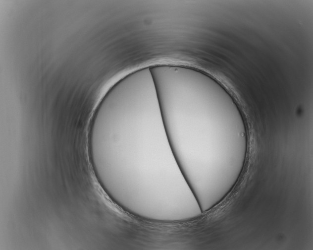 X0000116280854200911301039