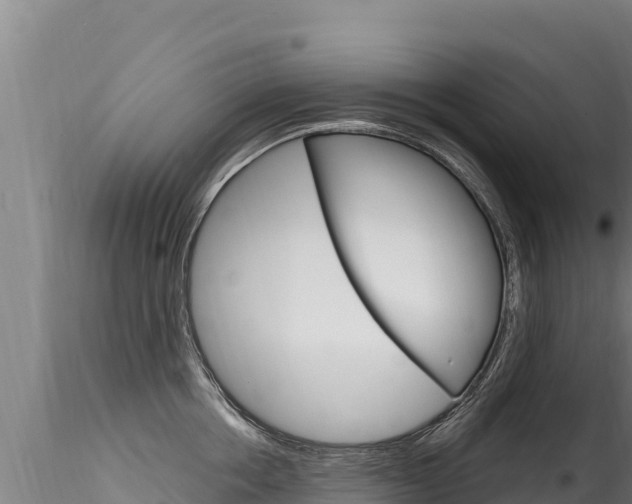 X0000116280858200911301039