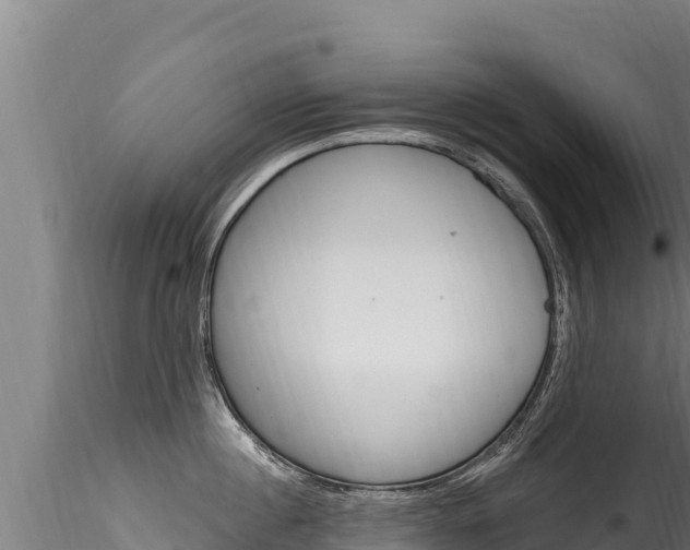 X0000116280860200911301039