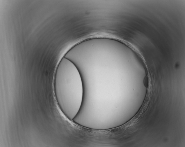 X0000116280863200911301039