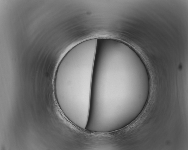 X0000116280864200911301039