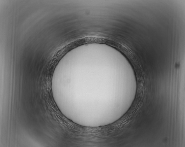 X0000116280870200911301039