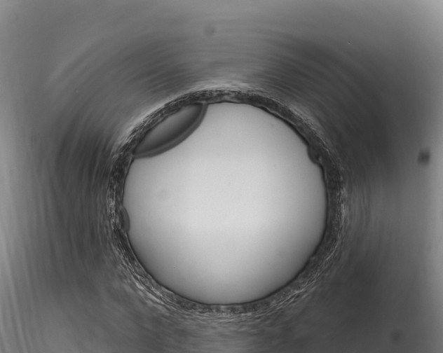 X0000116280872200911301039