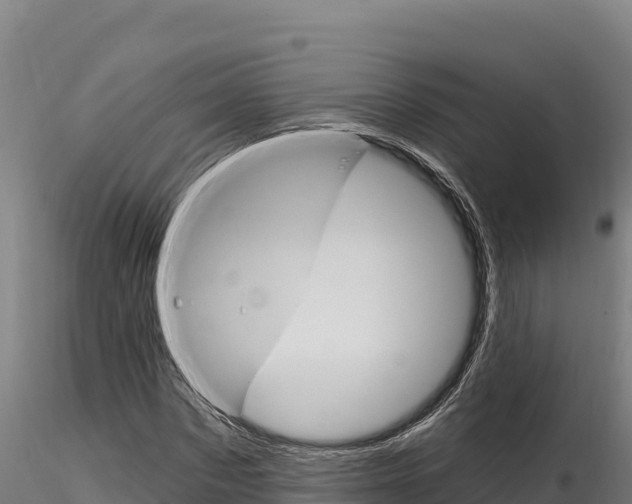 X0000116280873200911301039