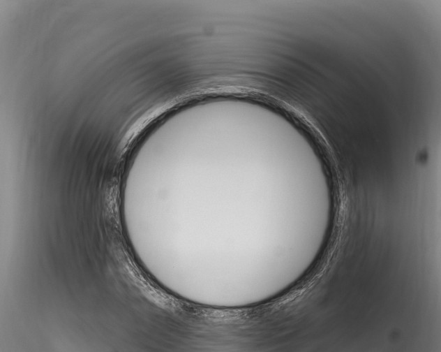X0000116280874200911301038