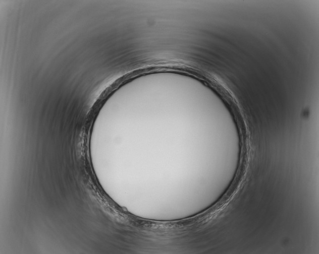 X0000116280875200911301038