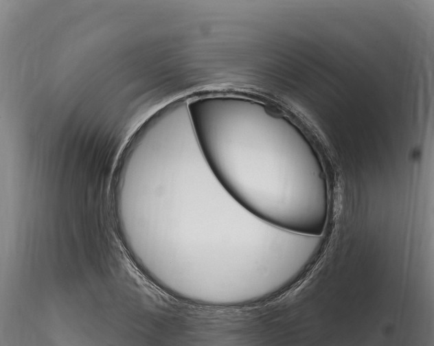 X0000116280876200911301038