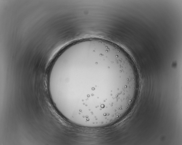 X0000116280878200911301038