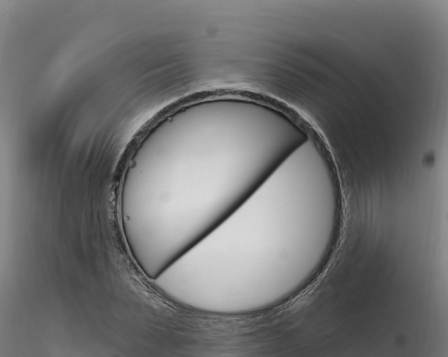 X0000116280879200911301038