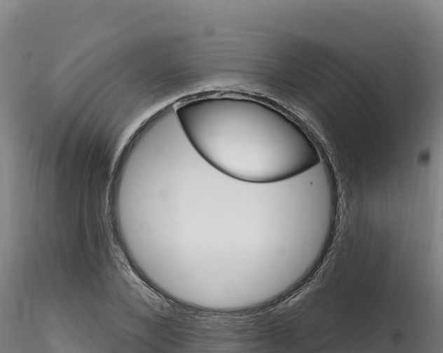 X0000116280880200911301038