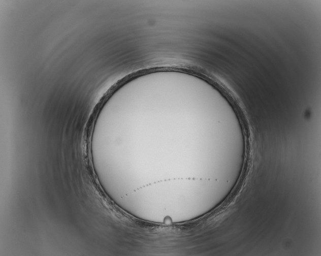X0000116280883200911301038