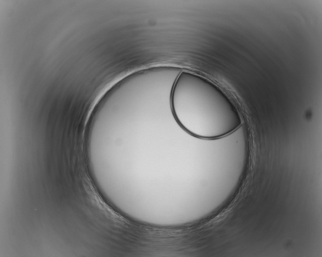 X0000116280884200911301038