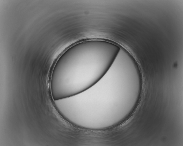 X0000116280885200911301038
