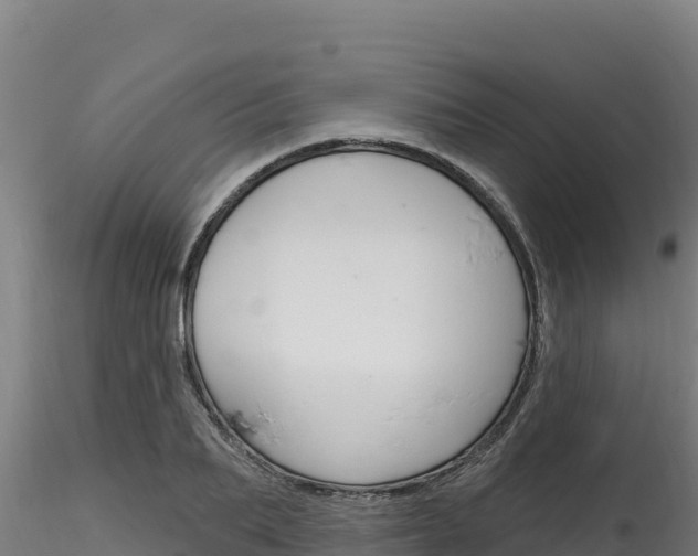 X0000116280887200911301038
