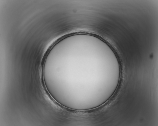 X0000116280888200911301038