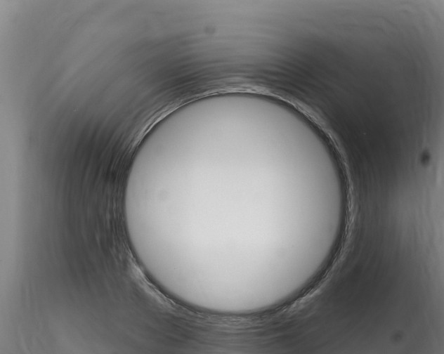 X0000116280889200911301038