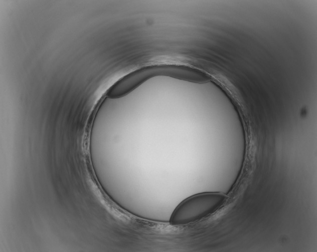X0000116280893200911301038