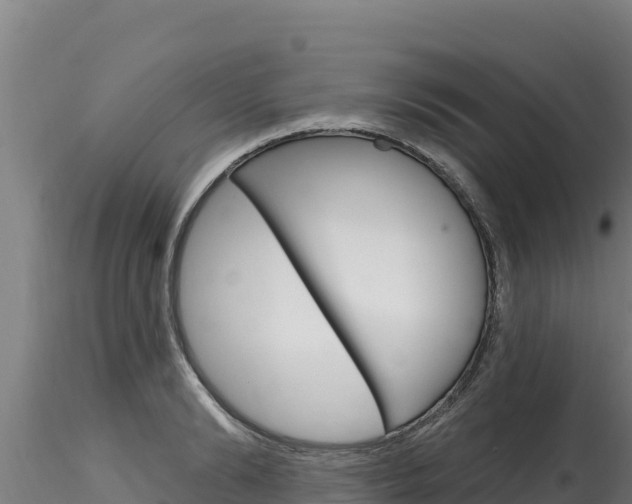 X0000116280894200911301038
