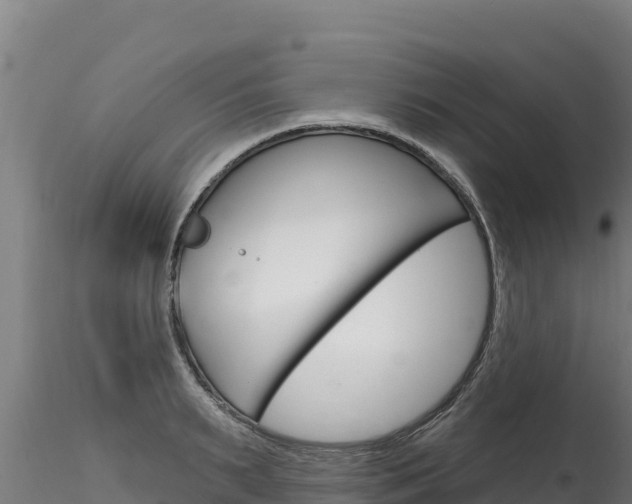 X0000116280895200911301038