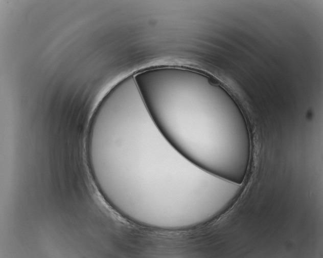 X0000116280896200911301038