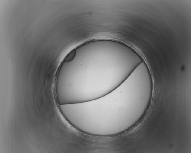 X0000116280901200911301038