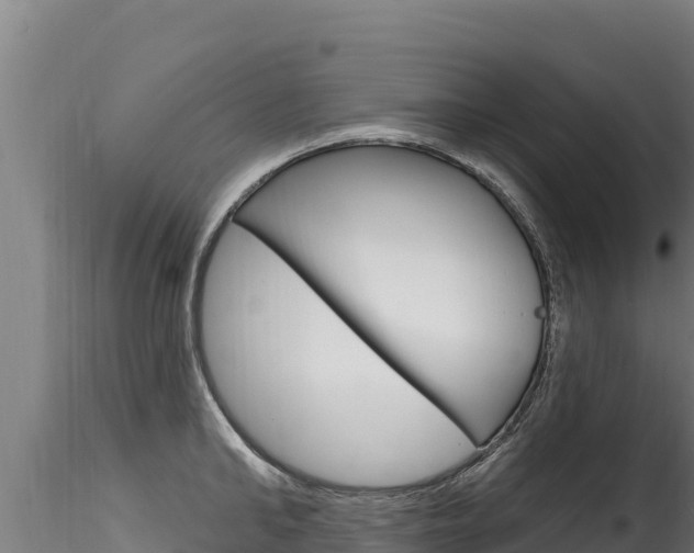 X0000116280902200911301038