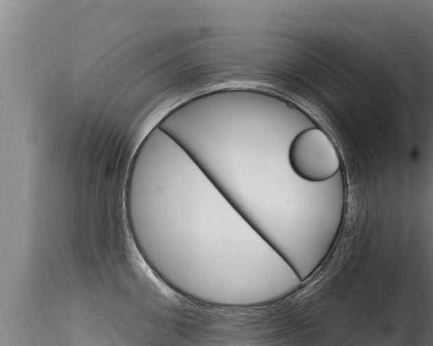 X0000116280906200911301038