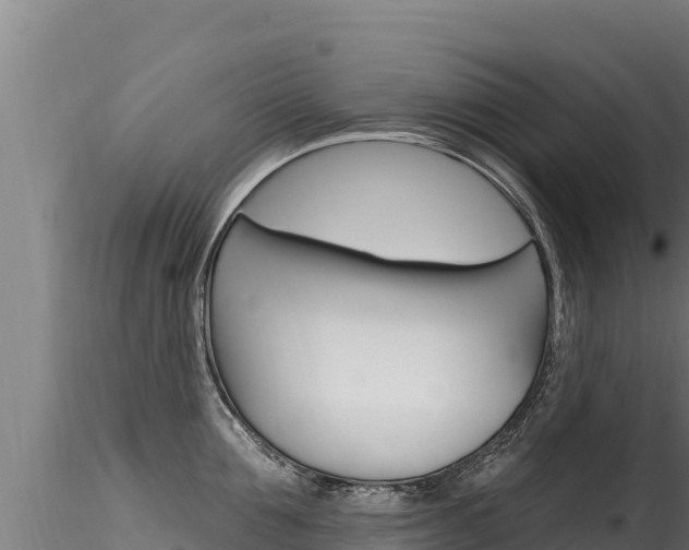 X0000116280907200911301038