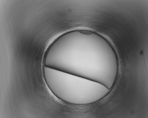 X0000116280910200911301038