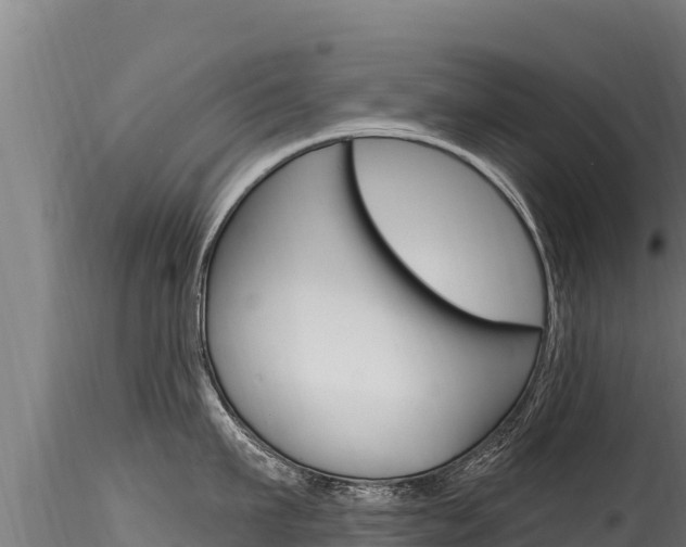 X0000116280911200911301038