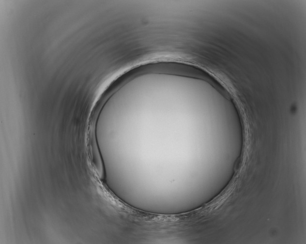 X0000116280912200911301038