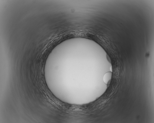 X0000116280913200911301037