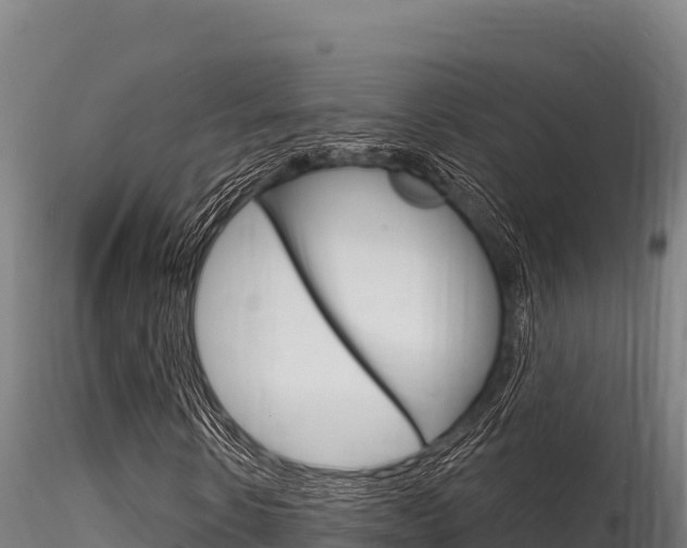 X0000116280914200911301037