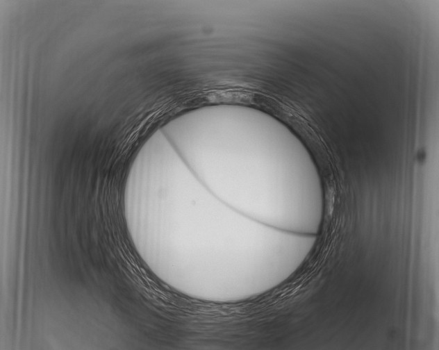 X0000116280915200911301037