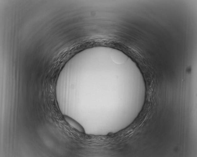 X0000116280917200911301037
