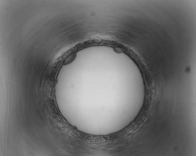 X0000116280919200911301037