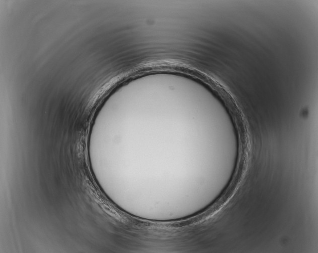 X0000116280921200911301037