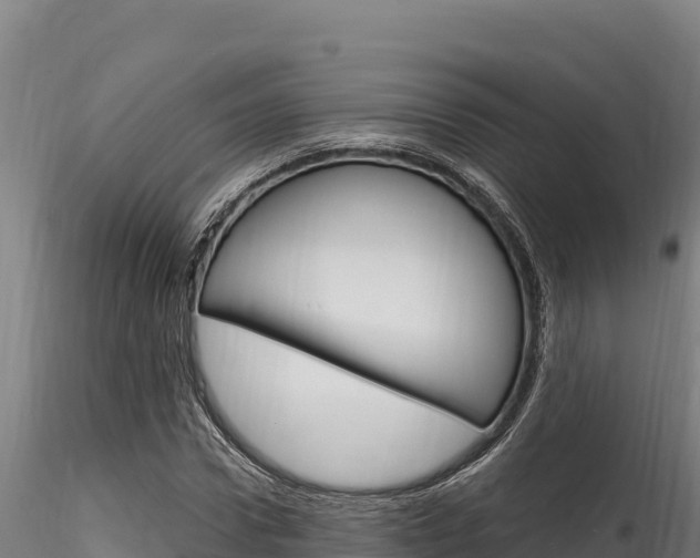 X0000116280922200911301037