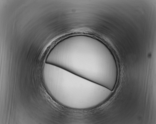 X0000116280923200911301037
