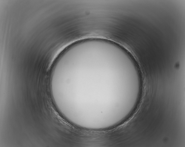 X0000116280926200911301037