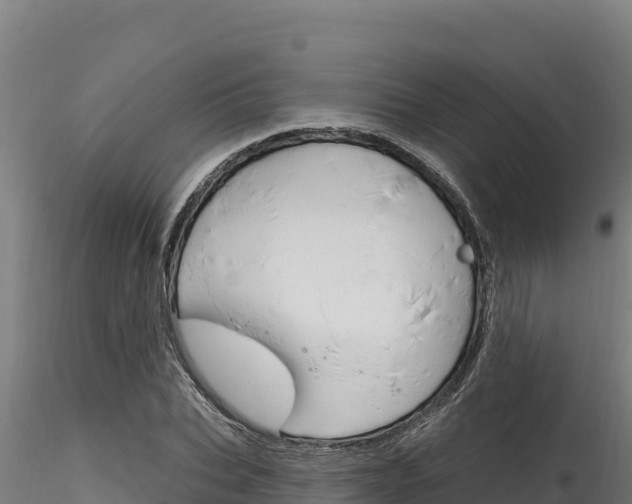 X0000116280927200911301037