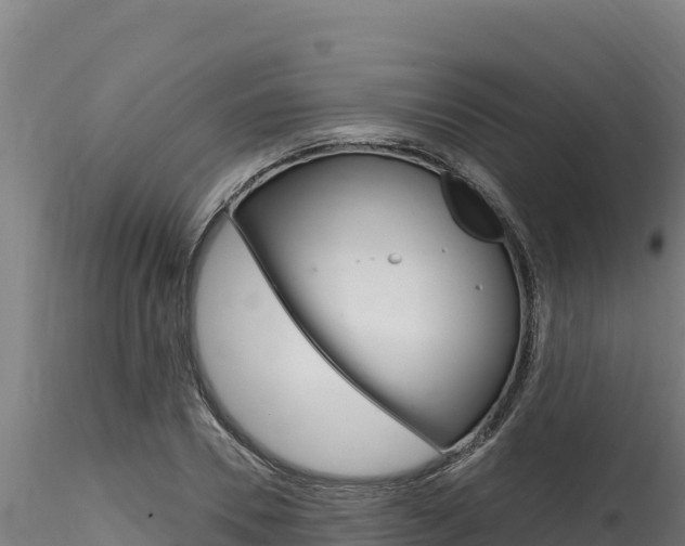 X0000116280930200911301037