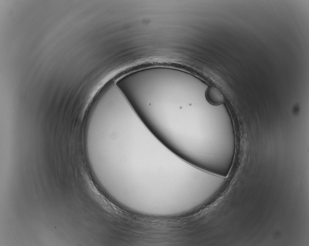 X0000116280934200911301037