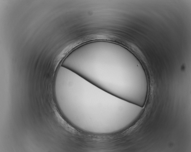 X0000116280938200911301037