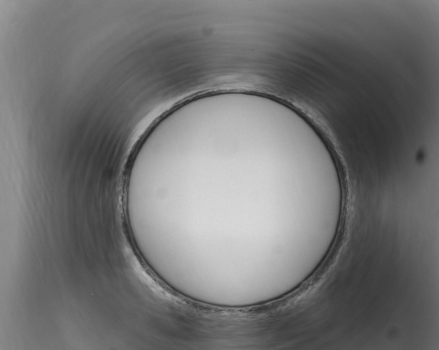 X0000116280941200911301038